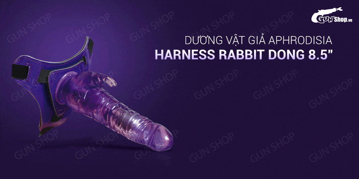 Nơi bán Dương vật giả có dây đeo 10 chế độ rung dùng pin - Aphrodisia Harness Rabbit Dong 8.5  nhập khẩu