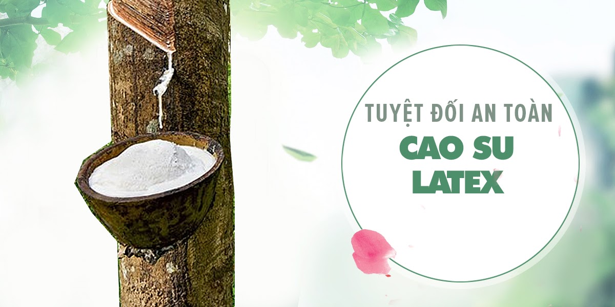 Bao Cao Su Quinn Gân Điểm Nổi Kích Thích Tăng Khoái Cảm Hộp 12
