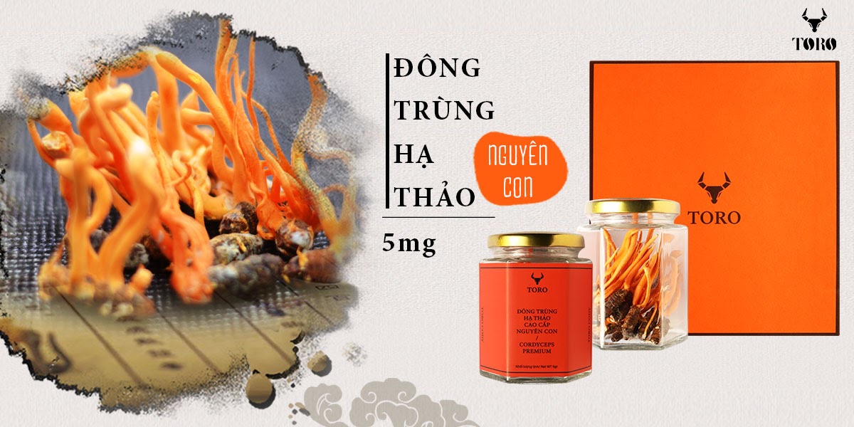 Đông trùng hạ thảo 5g nguyên con cao cấp bổ dưỡng tăng cường sức khỏe
