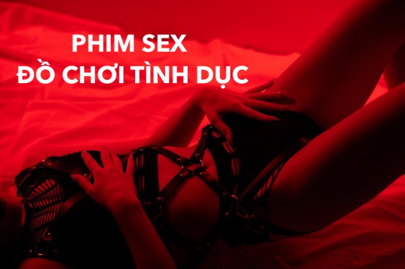 /phim-sex-viet-nam-do-choi-tinh-duc.html