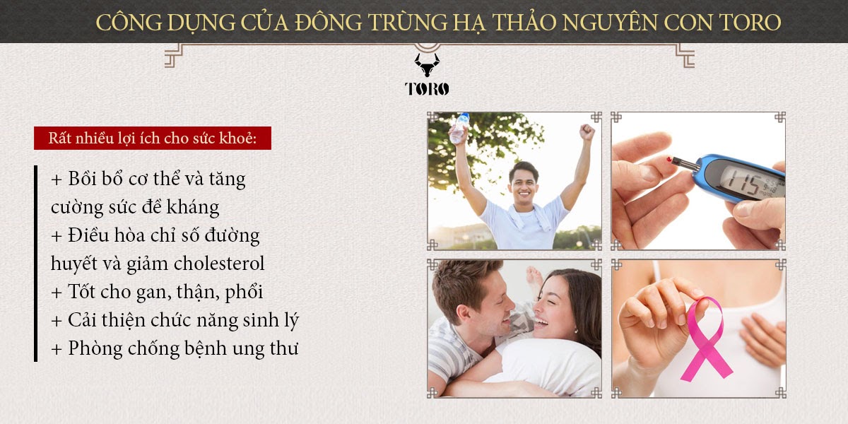 Cung cấp Đông trùng hạ thảo cao cấp nguyên con - Tăng cường sinh lý bồi bổ cơ thể - 5g cao cấp